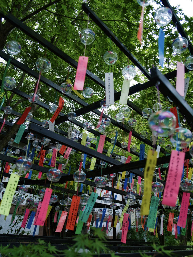 無料かよ‼️13,000個の風鈴がお出迎え✨✨映えに気合い入ってる風鈴寺🎐