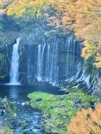 〜静岡県〜絶景すぎる白糸の滝！