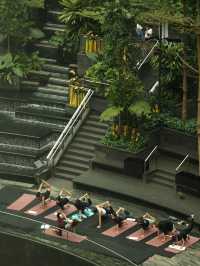 樟宜國際機場Jewel - 一場親子藝術探險之旅