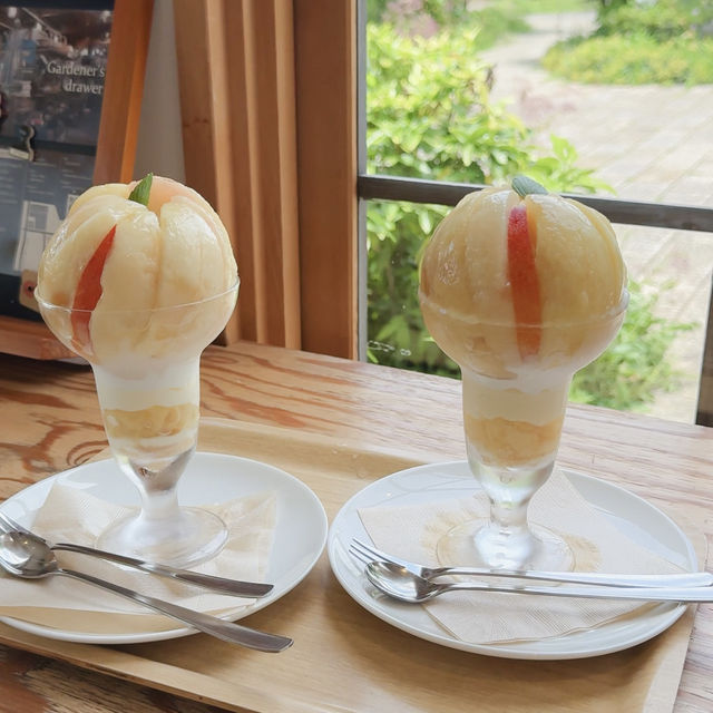 日本🇯🇵｜《富士河口湖》季節限定！大石公園滿滿新鮮水蜜桃🍑