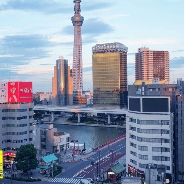 Possibly the best view of Tokyo