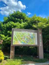 아름다운 꽃을 바라보며 산책하기 좋은 전주수목원🌸