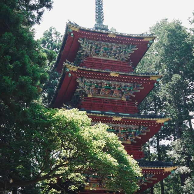 高住神社：歷史文化特色，必遊景點！