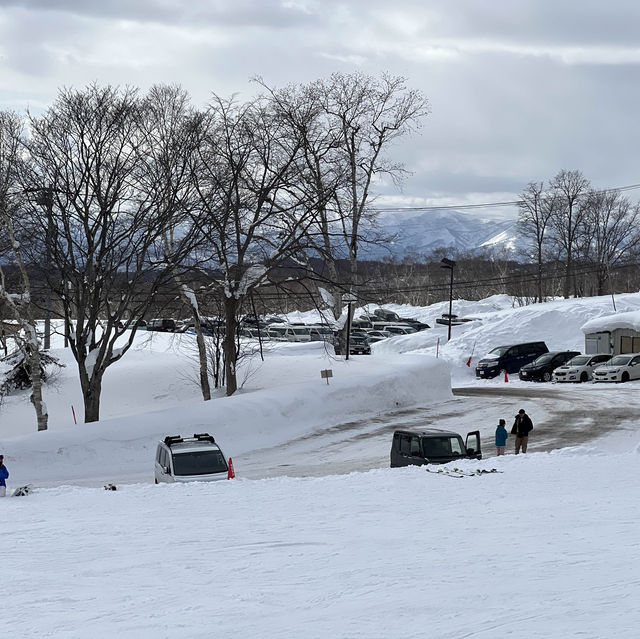 Niseko Japan ลานสกีที่โด่งดัง หิมะนุ่ม