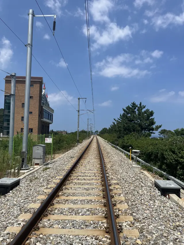清爽的夏天，沿著山，沿著水，正東津之旅