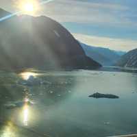Breath taking cruise 🚢 to Alaska with Ovations of the Seas 