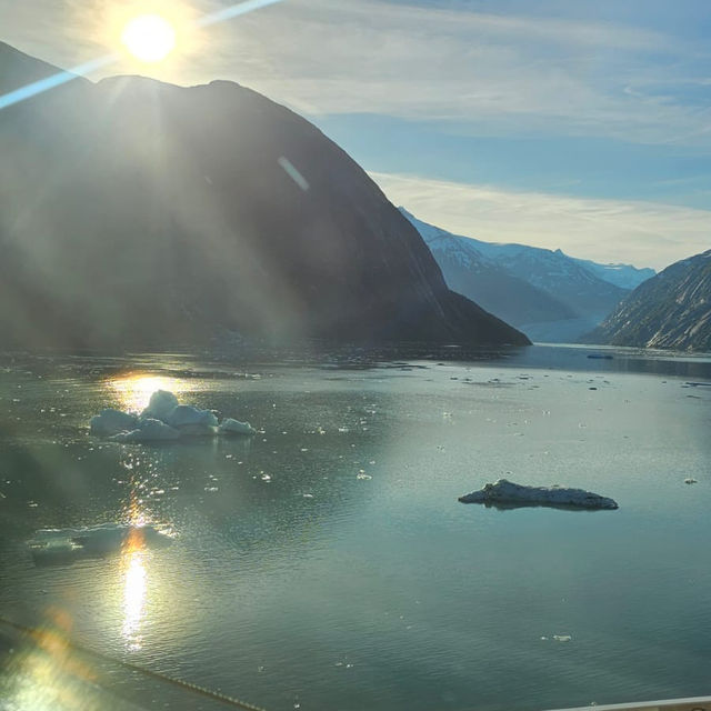 Breath taking cruise 🚢 to Alaska with Ovations of the Seas 