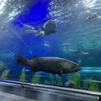 Aquarium Vinpreal Nha Trang