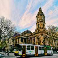 Melbourne's Golden Glow: Autumn's Warm Embrace