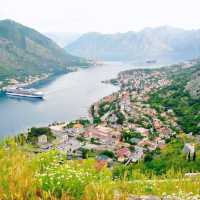 Timeless Kotor, Montenegro 