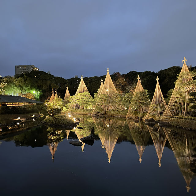 名古屋白鳥庭院：夜晚的靜謐與美