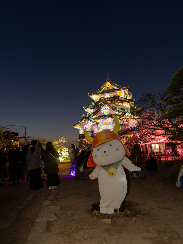 巨大ひこにゃん現る！💫Naked彦根祭り2024桜開催中