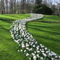 A flower Heaven