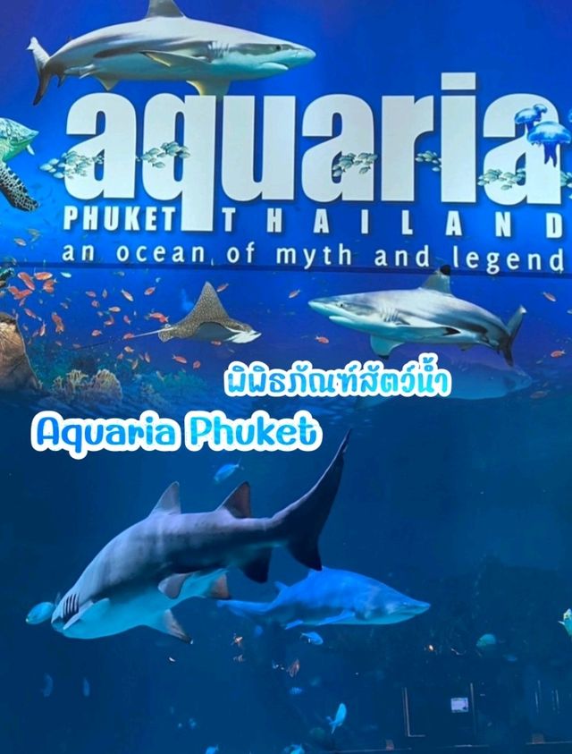 พิพิธภัณฑ์สัตว์น้ำ Aquaria Phuket