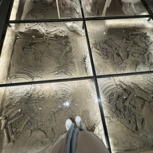 3000 Years of Waiting: My Journey Across 3000 Miles to Visit Handan Museum 