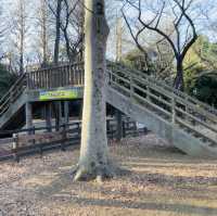 【祐天寺】世田谷公園 - SLが見れる交通公園 -