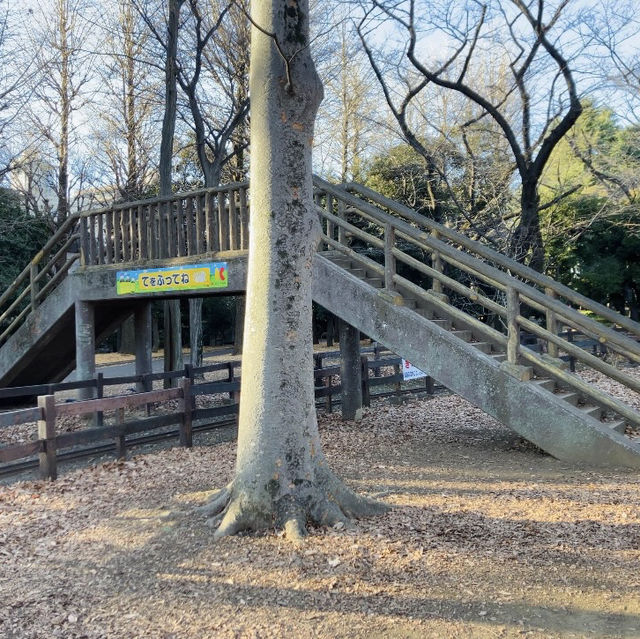 【祐天寺】世田谷公園 - SLが見れる交通公園 -