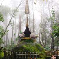 พระธาตุดอยช้างมูบ