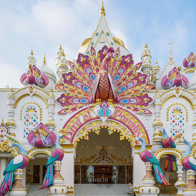 🌟 สวรรค์แห่งการบันทึกสถิติโลกในภูเก็ต 🎪🤹🏻‍♀️