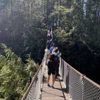 【バンクーバー inカナダ】🇨🇦Lynn Canyon Park 〜カナダの軽井沢〜