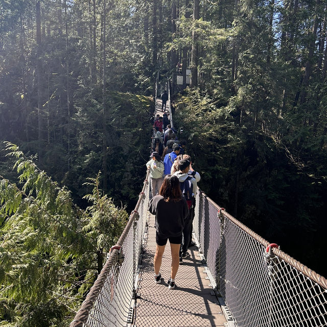 【バンクーバー inカナダ】🇨🇦Lynn Canyon Park 〜カナダの軽井沢〜