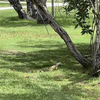 Fairchild Tropical Botanic Garden - Miami’s Lush Green Haven