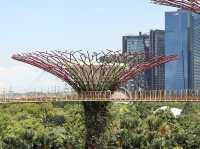 新加坡最多元化的景點 - 濱海灣花園