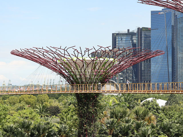 新加坡最多元化的景點 - 濱海灣花園