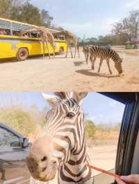 Safari Park Kanchanaburi  🦒🦁🦌