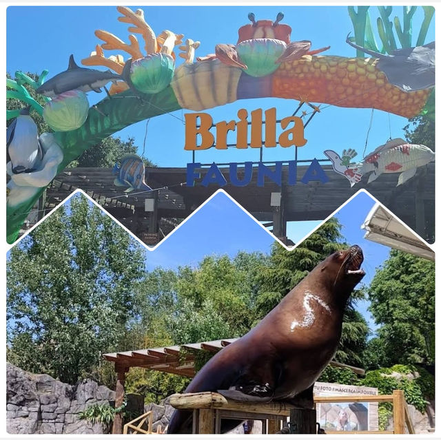 【西班牙】Brilla FAUNIA：親子動物園，適合帶孩子遊覽