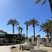 Cypriot Sun