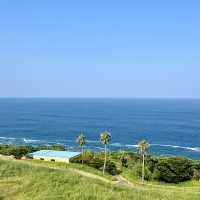 想看海就一定要來 - 宮崎日南太陽花園