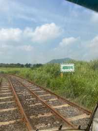 🚞제주 레일바이크 여행 