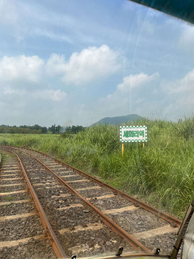 🚞제주 레일바이크 여행 