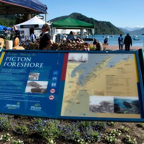 "Picton Esplanade: Enjoying Coastal Charm and Maritime Life in New Zealand"