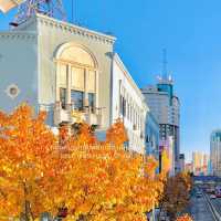 Harbin in Autumn 🍂 