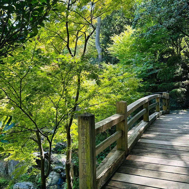 🏯遼闊開揚🏯 龜山城🏯