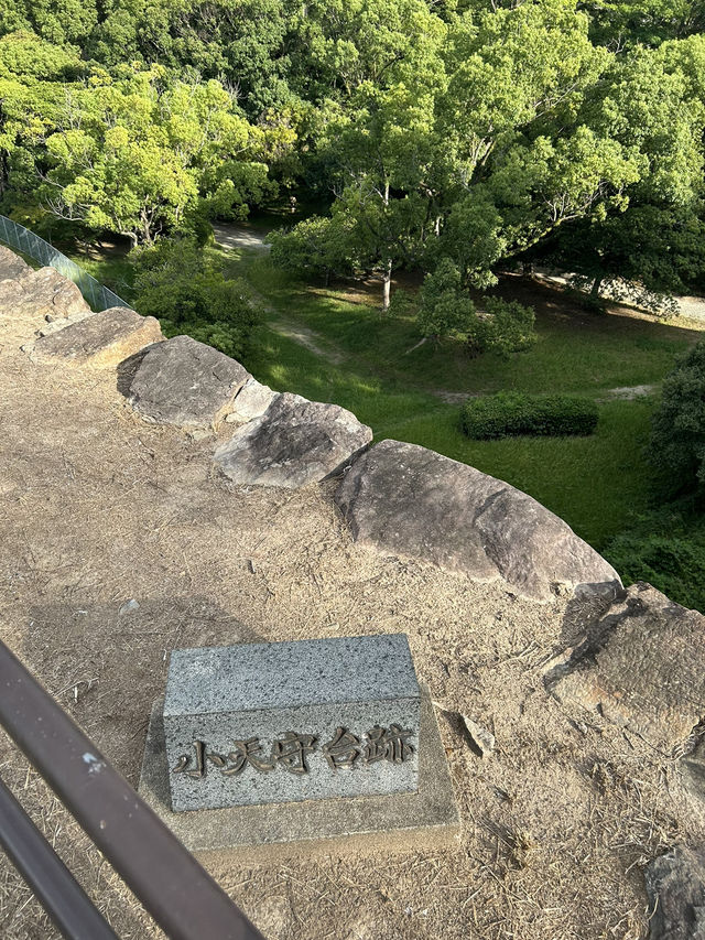 【舞鶴公園】福岡城跡、運動施設などある緑に溢れた公園🏯