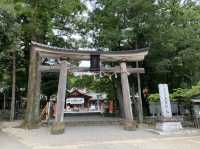 ひろめ市場