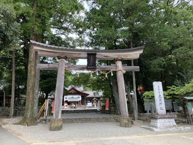 ひろめ市場