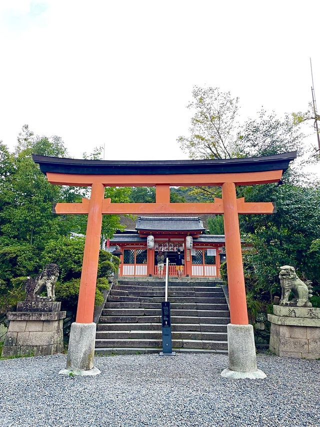 【京都府】うさぎがご縁を運ぶ神社