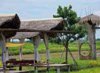 บ้านรักษ์นา ร้านอาหารไทย ในท้องทุ่งนา 