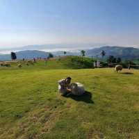 Akha Farmville 🐑