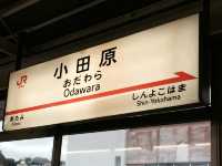 日本🇯🇵箱根 - 仙石原プリンスホテル 