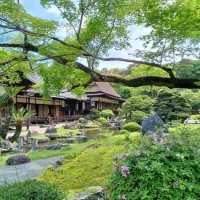 【京都】神社仏閣巡り 世界遺産醍醐寺を巡る
