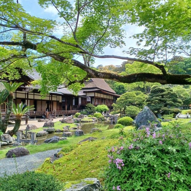 【京都】神社仏閣巡り 世界遺産醍醐寺を巡る
