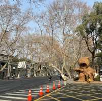 Exploring Serenity: A Journey Through Hangzhou’s West Lake