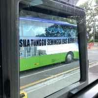 Economical way to travel! 🚎 