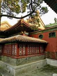 Autumn in the Forbidden City: A Journey Through History and Beauty 