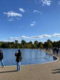 🇬🇧 倫敦最多天鵝的公園 🦢